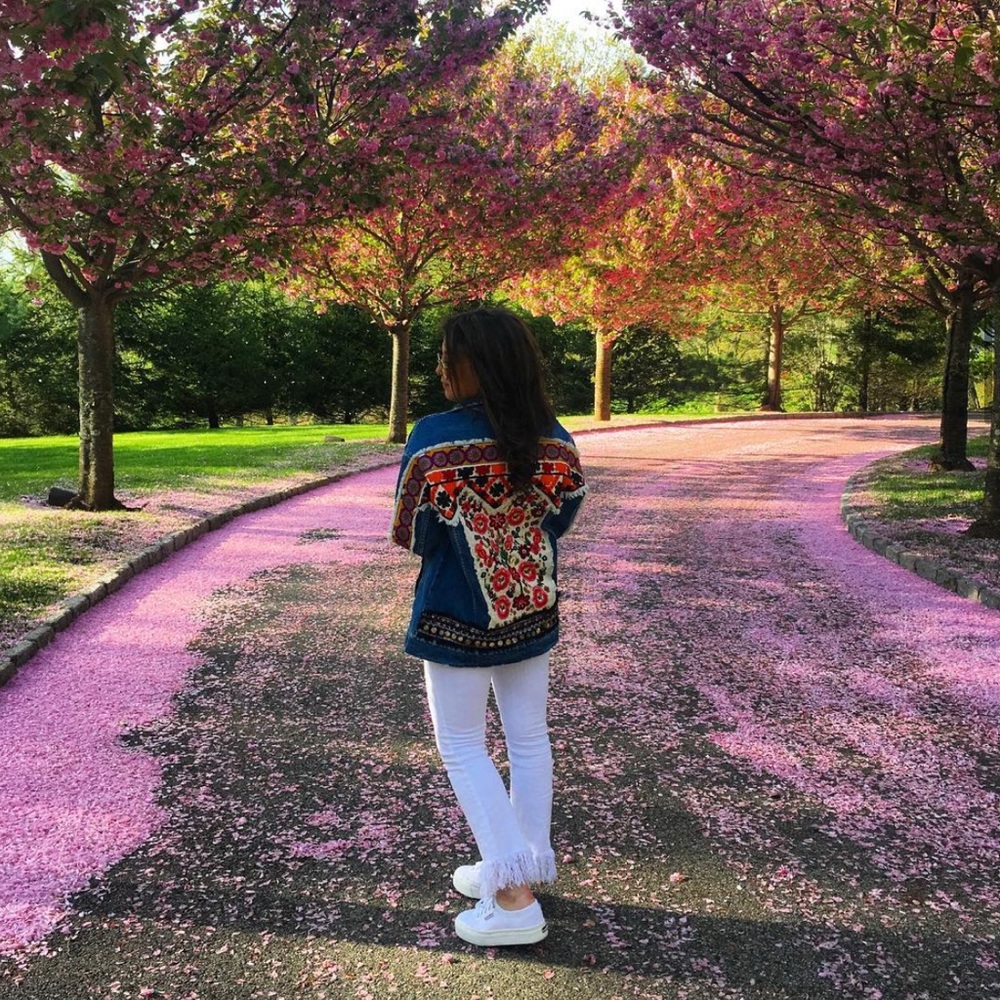 Embroidered Denim Jacket with Floral Design